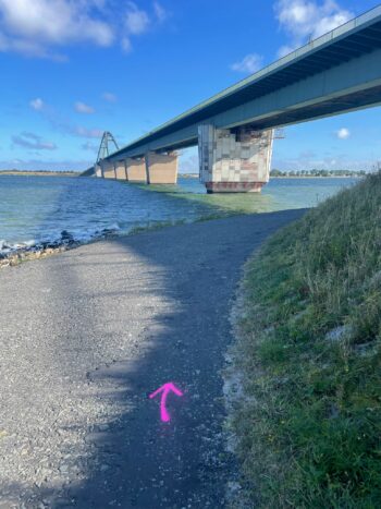 WhatsApp Image 2024-09-20 at 12.06.21