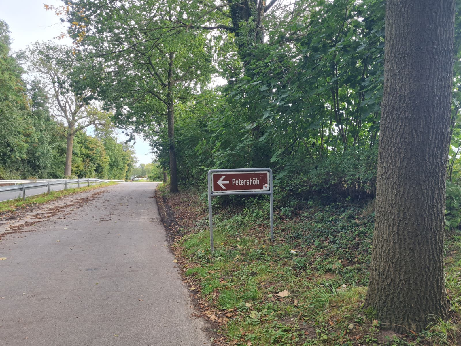 WhatsApp Image 2025-09-19 at 08.13.46-3